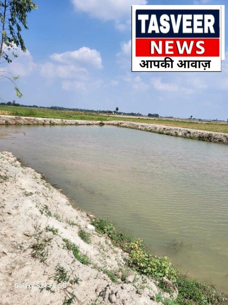 जनपद में अमृत सरोवरों में जल भराव का कार्य प्रारंभ