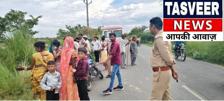 शमशाबाद में शादी से लौट रही पिकअप खड्ड में पलटी, दर्जनभर लोग घायल