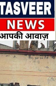 खुले बिजली के तारों पर ‘वानर आतंक’: बंदरों ने काटी केबल, वायरल वीडियो ने खोली बिजली विभाग की लापरवाही, बड़े हादसे का खतरा