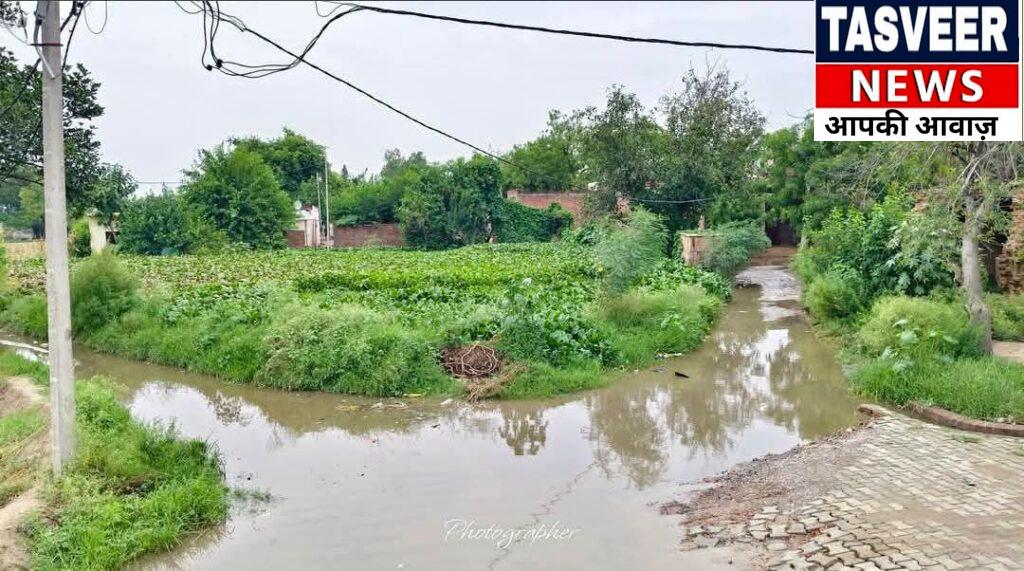 बारिश बनी आफत! जैतपुर की सड़क बनी ‘तालाब’, जान जोखिम में डालकर निकलने को मजबूर ग्रामीण — आखिर कब जागेगा प्रशासन