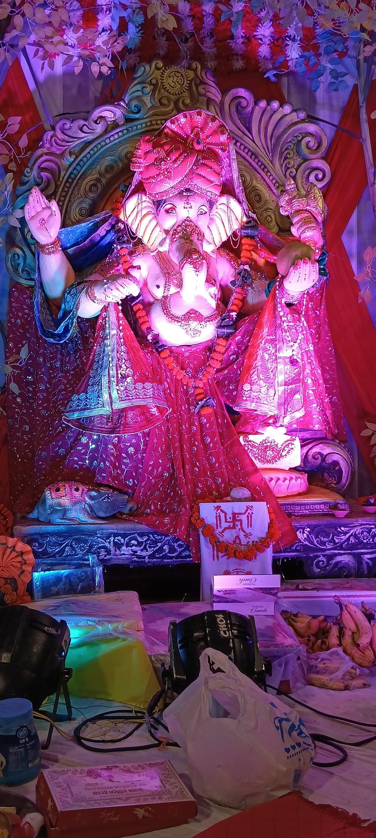 गणपति बप्पा मोरया के जयकारों से गूंजा लोहे वाली गोदाम क्षेत्र, विधि-विधान से हुआ गजानन का भव्य विराजमान