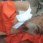 23 बीघा जमीन बनी खूनी रिश्ते की वजह! पोते ने सगे बाबा को मारी दो गोलियां, मौत के बाद गांव में सनसनी